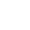 Network icon