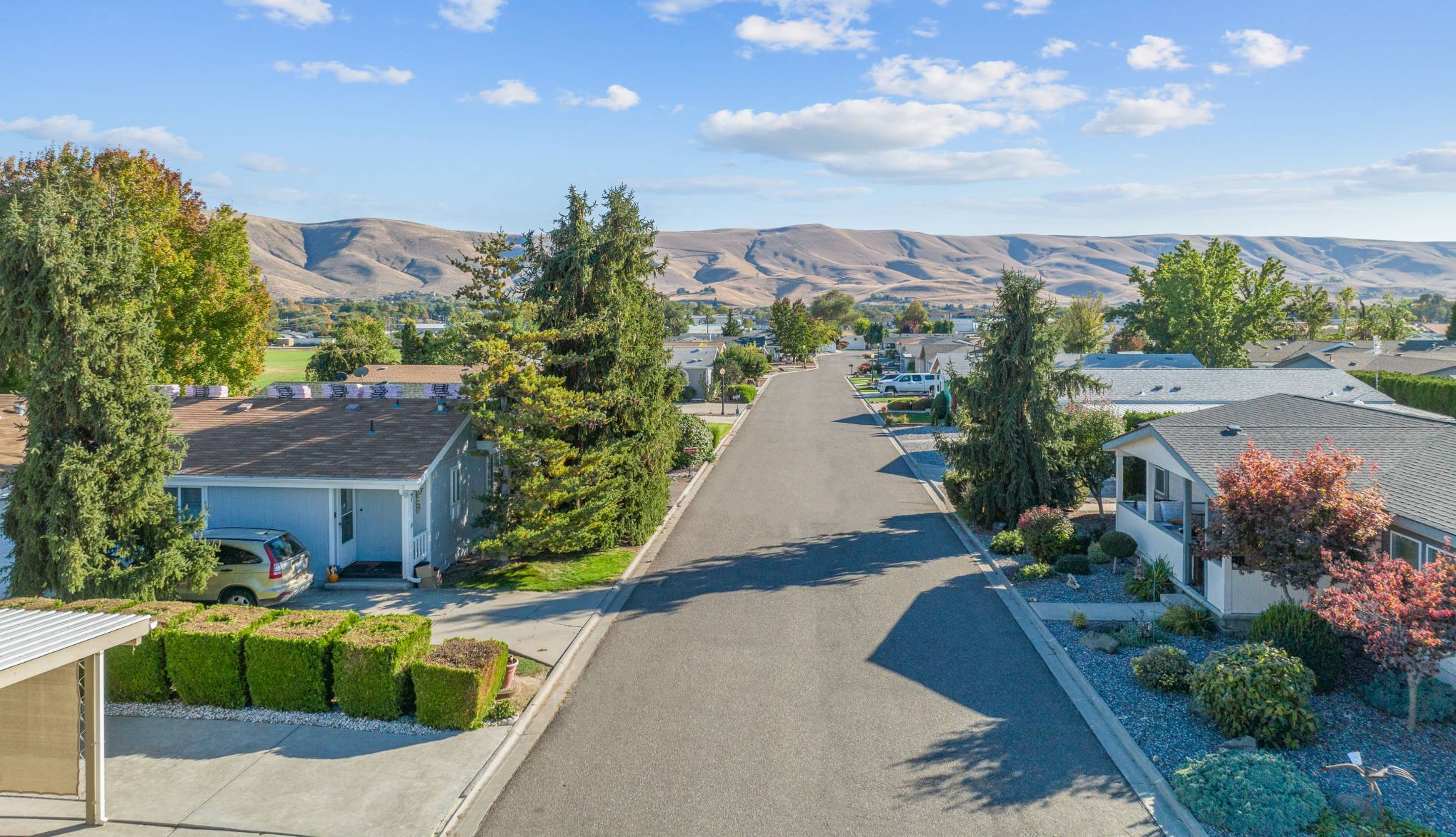 Photo of aerial view of street lined with houses