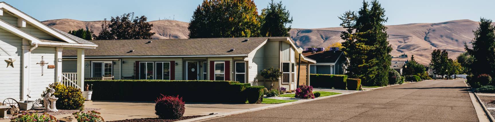 Photo of a row of houses