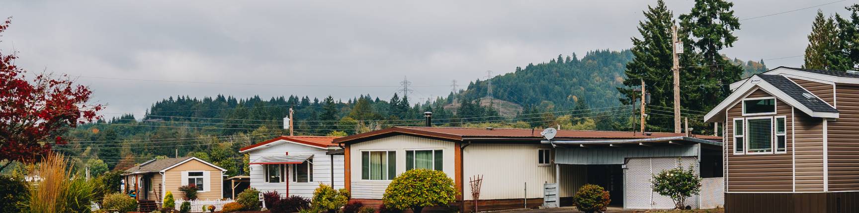 Photo of a row of houses