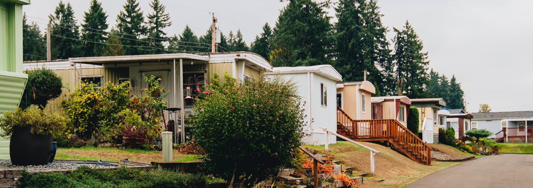 Photo of a row of manufactured houses with evergreen trees in background