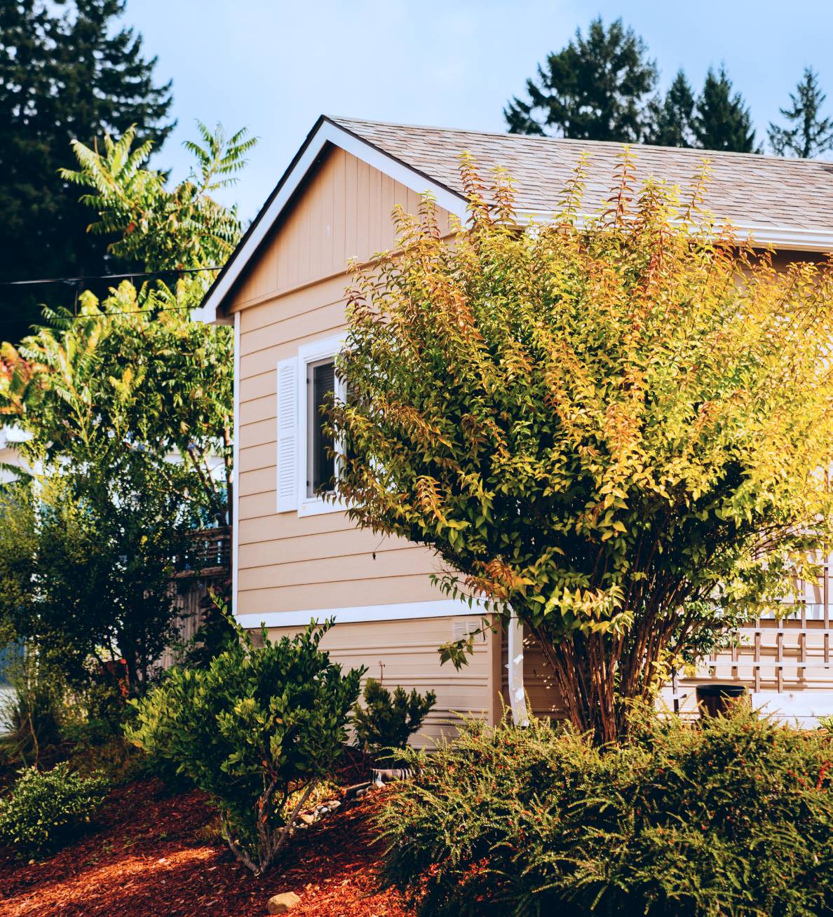 Photo of manufactured house with trees