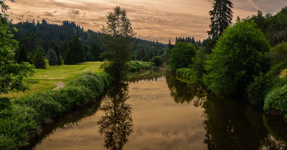 Photo of a river with trees