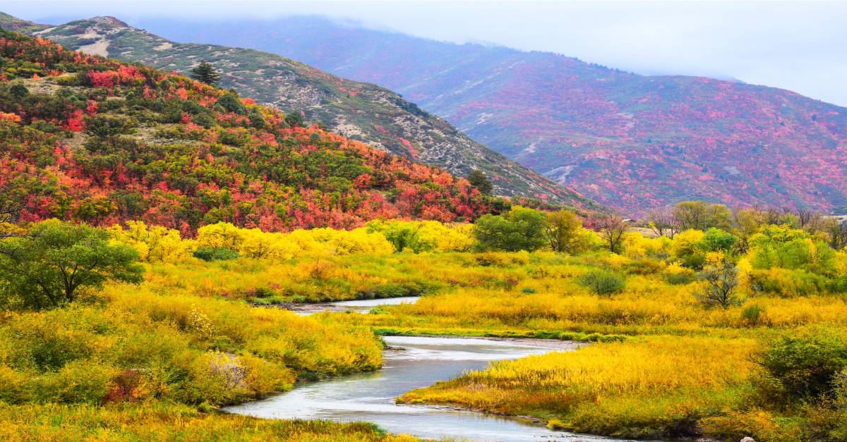 Photo of a winding river